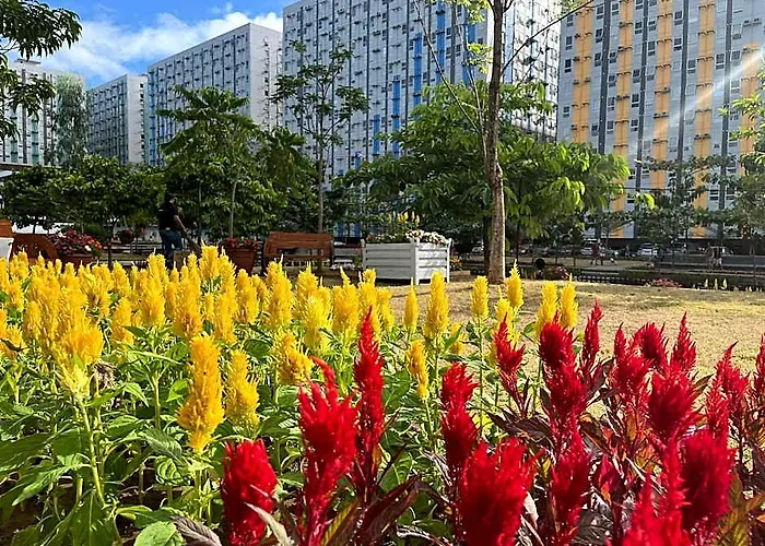 Hotel Female/couple Only Budget Place Within The 1 Manila